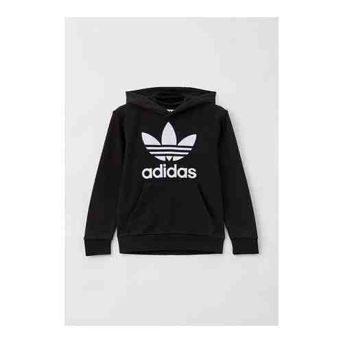 Худи adidas Originals арт. RTLABM528101