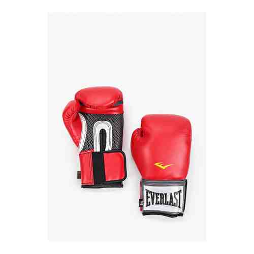 Перчатки боксерские Everlast арт. RTLAAS378001