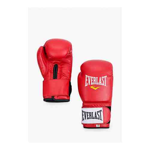Перчатки боксерские Everlast арт. RTLABL610501