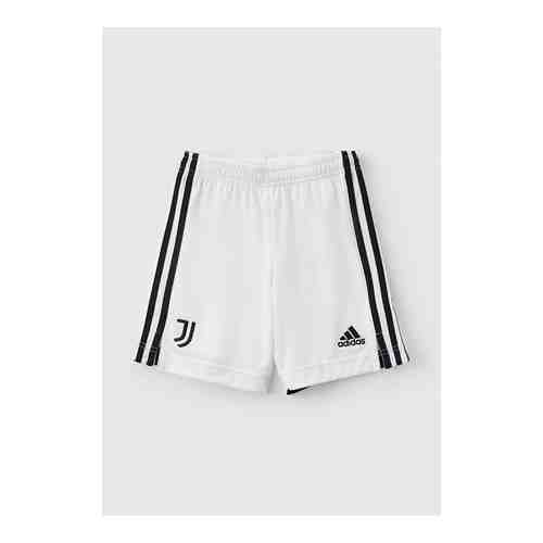 Шорты спортивные adidas арт. RTLAAK126301