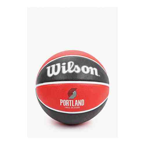 Мяч баскетбольный Wilson арт. RTLAAT761401
