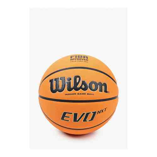 Мяч баскетбольный Wilson арт. RTLABG223401