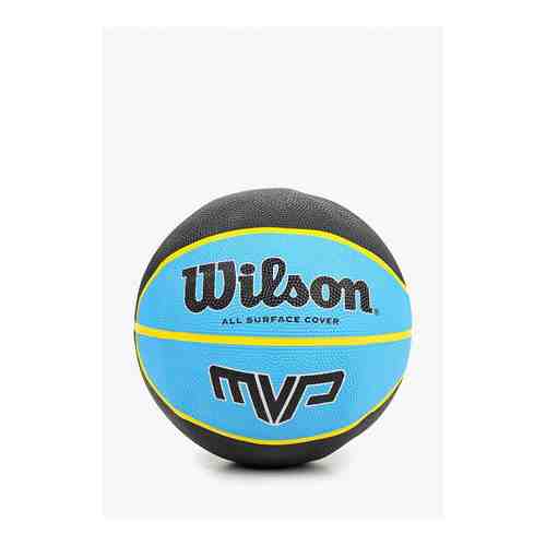 Мяч баскетбольный Wilson арт. WI002DUDSZF0