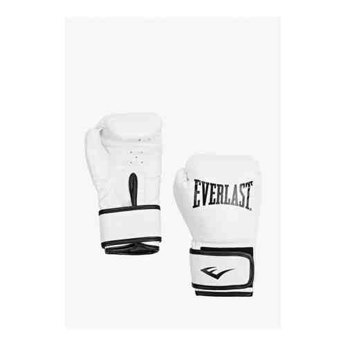 Перчатки боксерские Everlast арт. RTLAAS385501